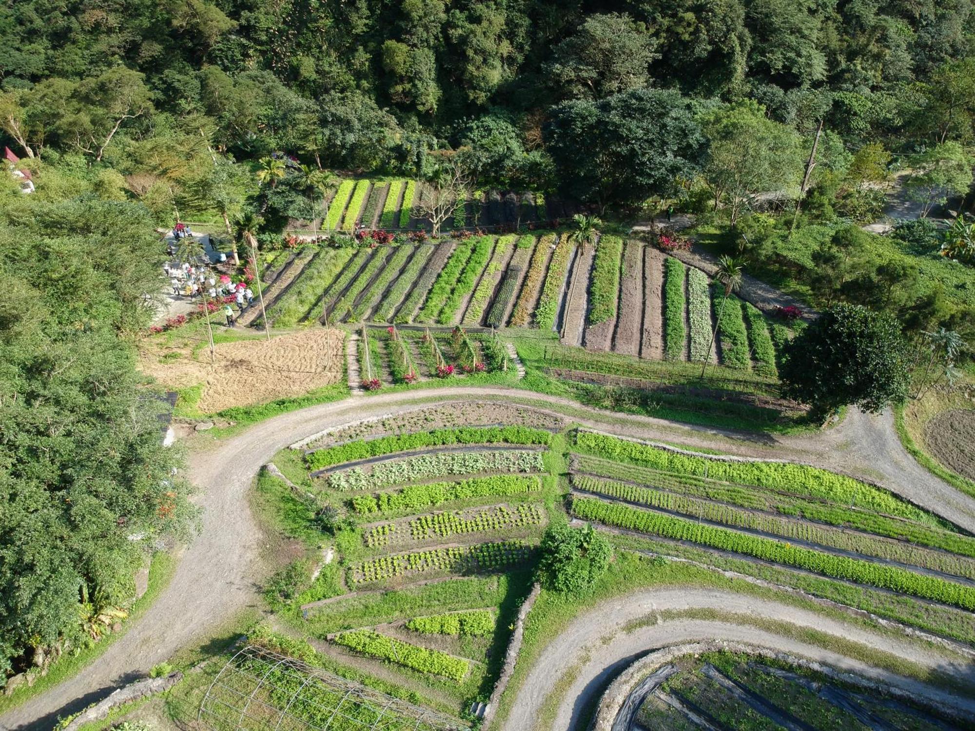 Tou-Cheng Leisure Farm Hotel Тоученг Екстериор снимка