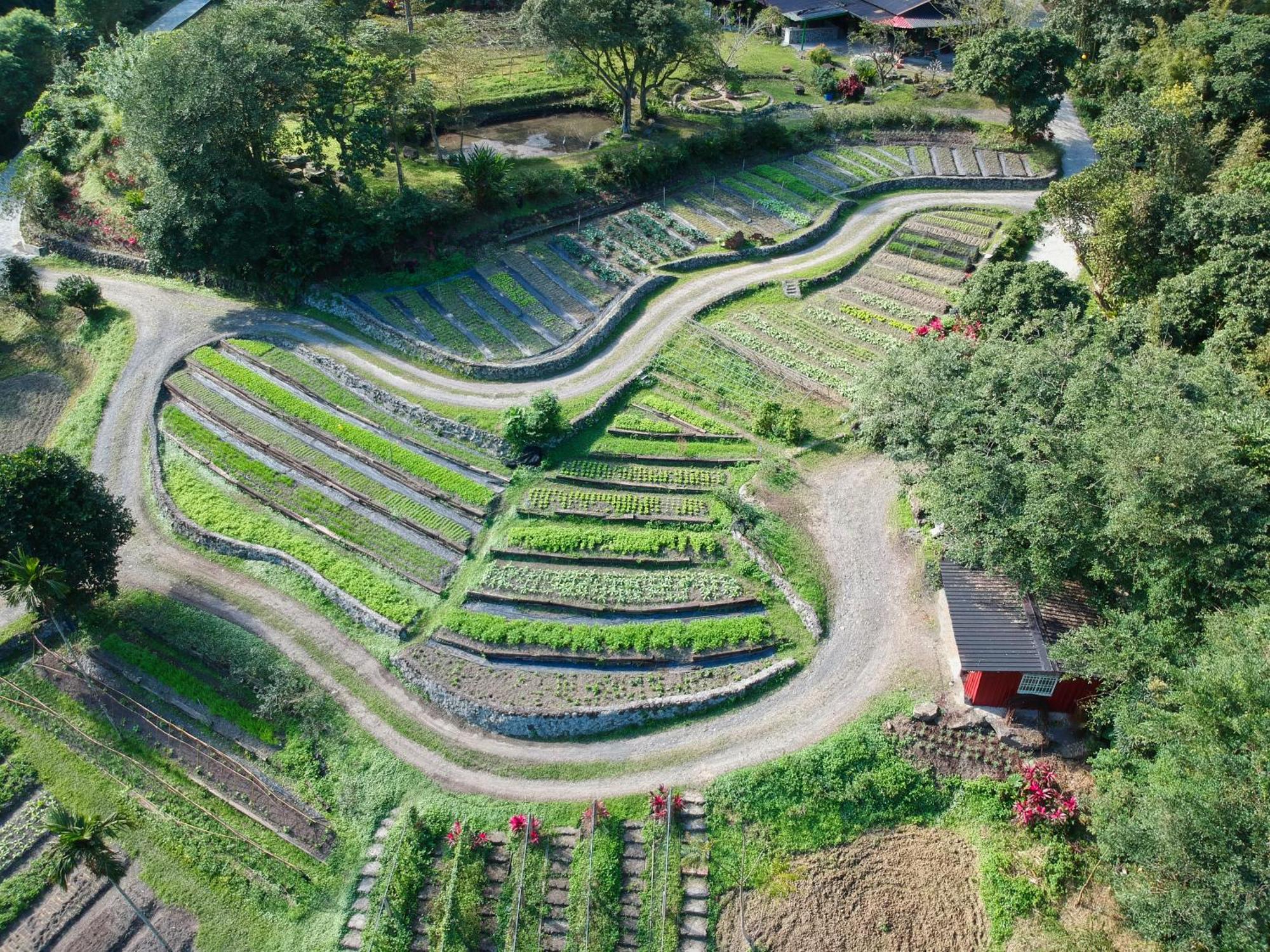 Tou-Cheng Leisure Farm Hotel Тоученг Екстериор снимка