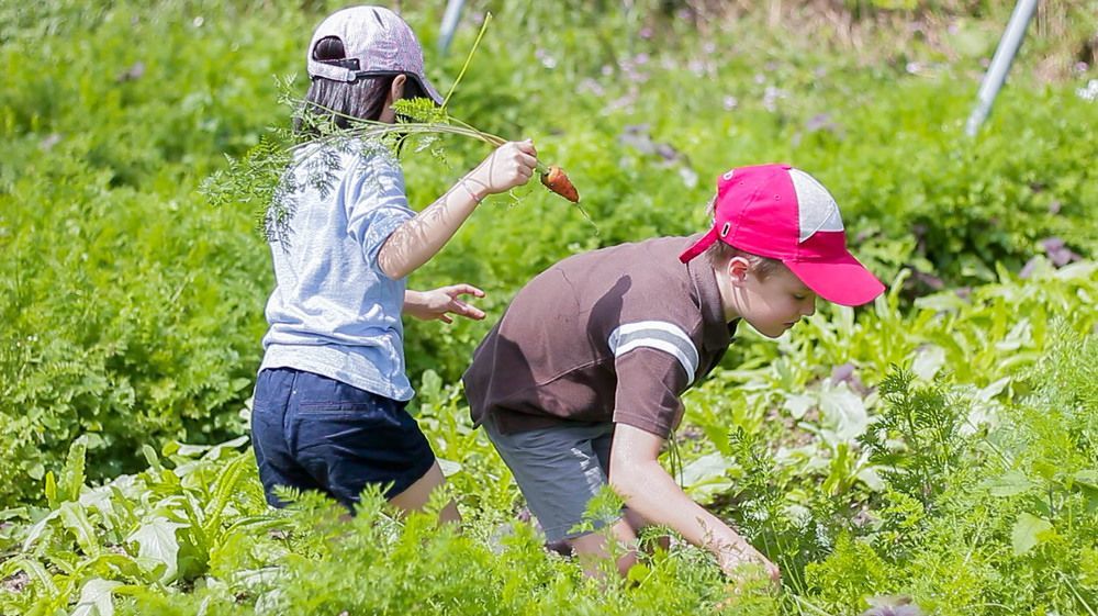 Tou-Cheng Leisure Farm Hotel Тоученг Екстериор снимка